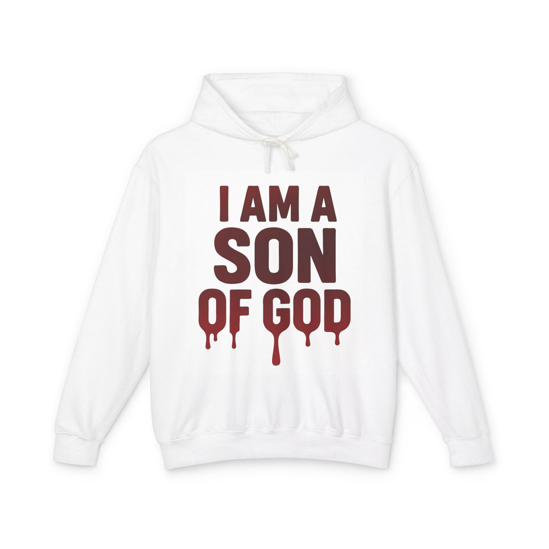 I Am a Son of God Hoodie — John 1:12 Christian Faith Hooded Sweatshirt